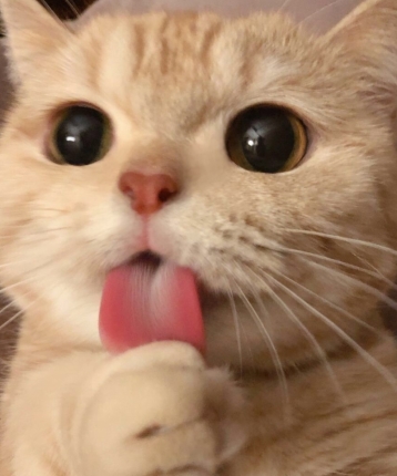 Ndhhdh的头像